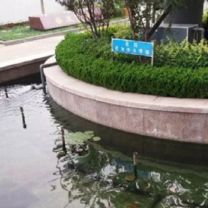 全自動(dòng)過(guò)濾消毒系統(tǒng)