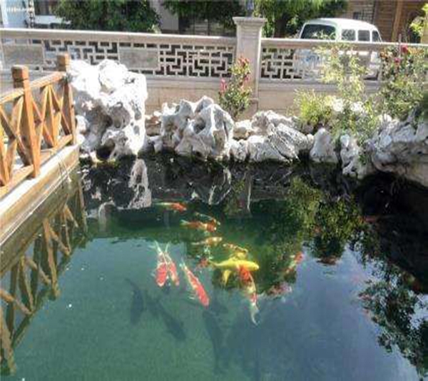 全自動魚池凈化系統(tǒng)