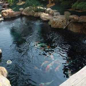 全自動(dòng)循環(huán)水設(shè)備