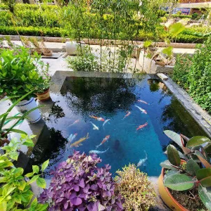 濟(jì)寧藝水芳源魚(yú)池過(guò)濾器客戶(hù)實(shí)地效果展示