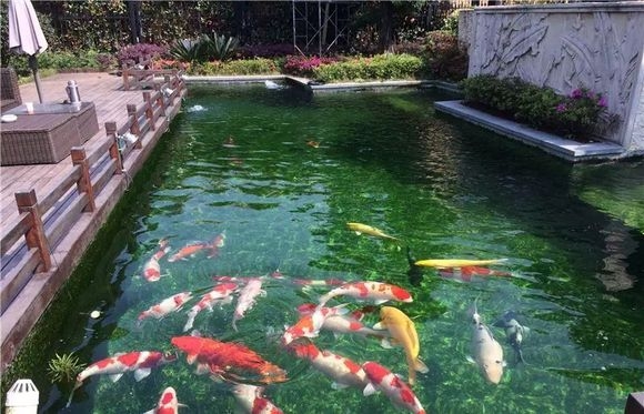 為什么要去除淤泥