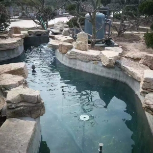 魚池過濾器客戶實(shí)地效果展示